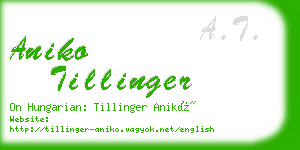 aniko tillinger business card